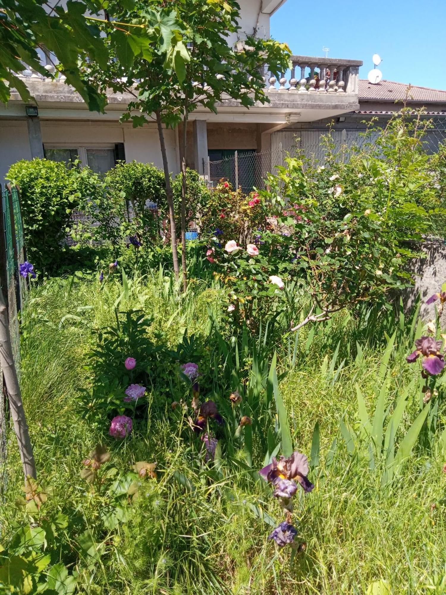 Rosalie Cottage Beaurepaire  Exterior foto