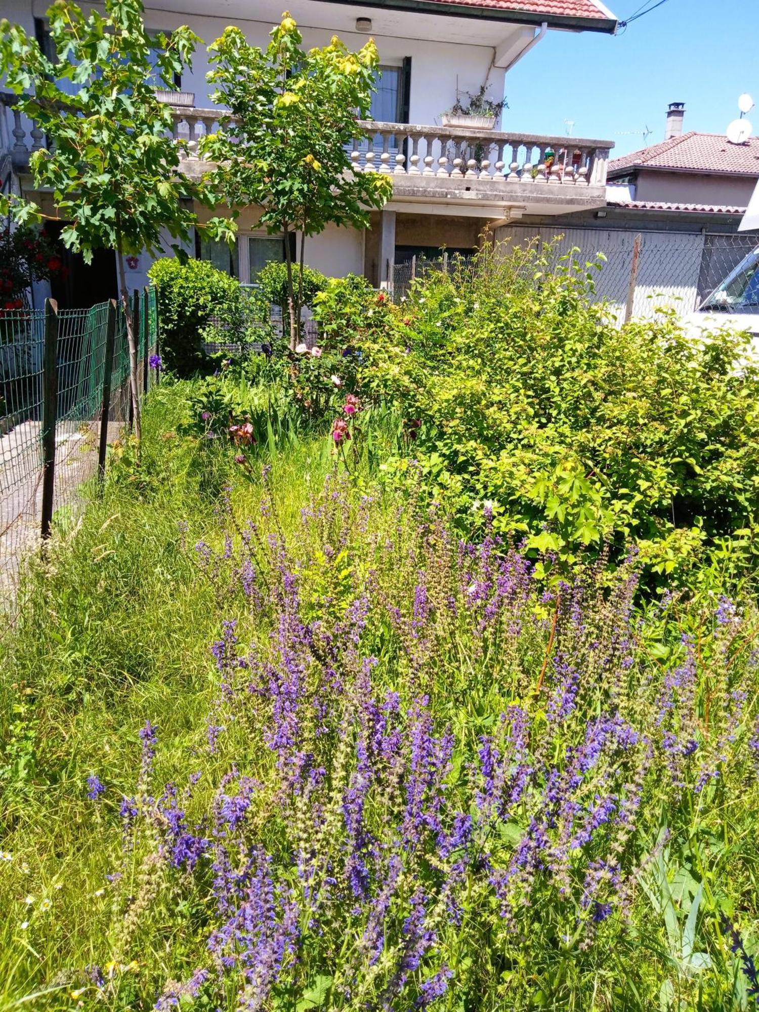 Rosalie Cottage Beaurepaire  Exterior foto